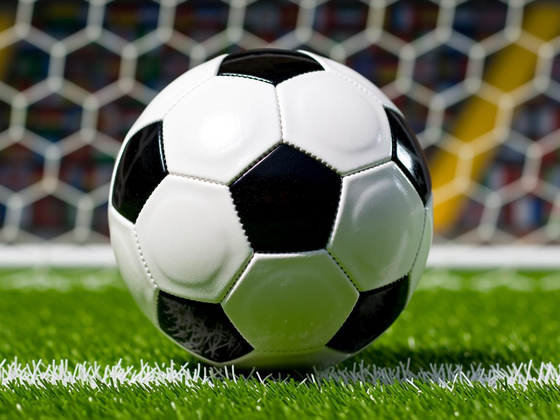 开云ky官网-女子100仰美将再创佳绩，女子100仰泳  第3张