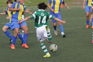 开云在线登入-立陶宛队四球大胜，锁定强席位